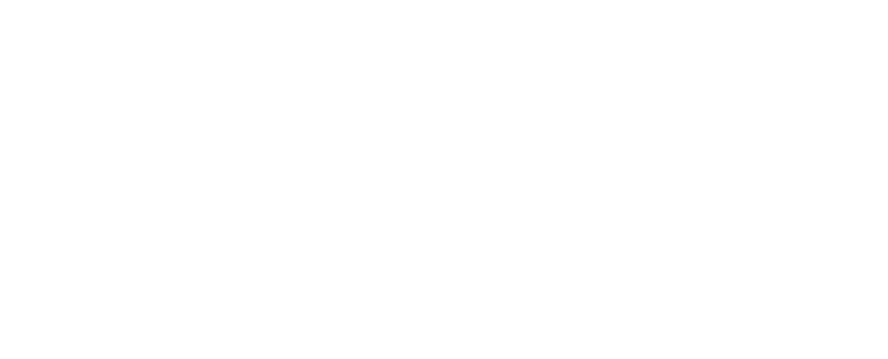 Little Heroes Foundation 